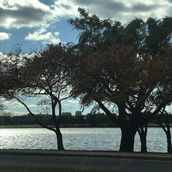 Meet your Posher, Lola - Picture 1 of 1